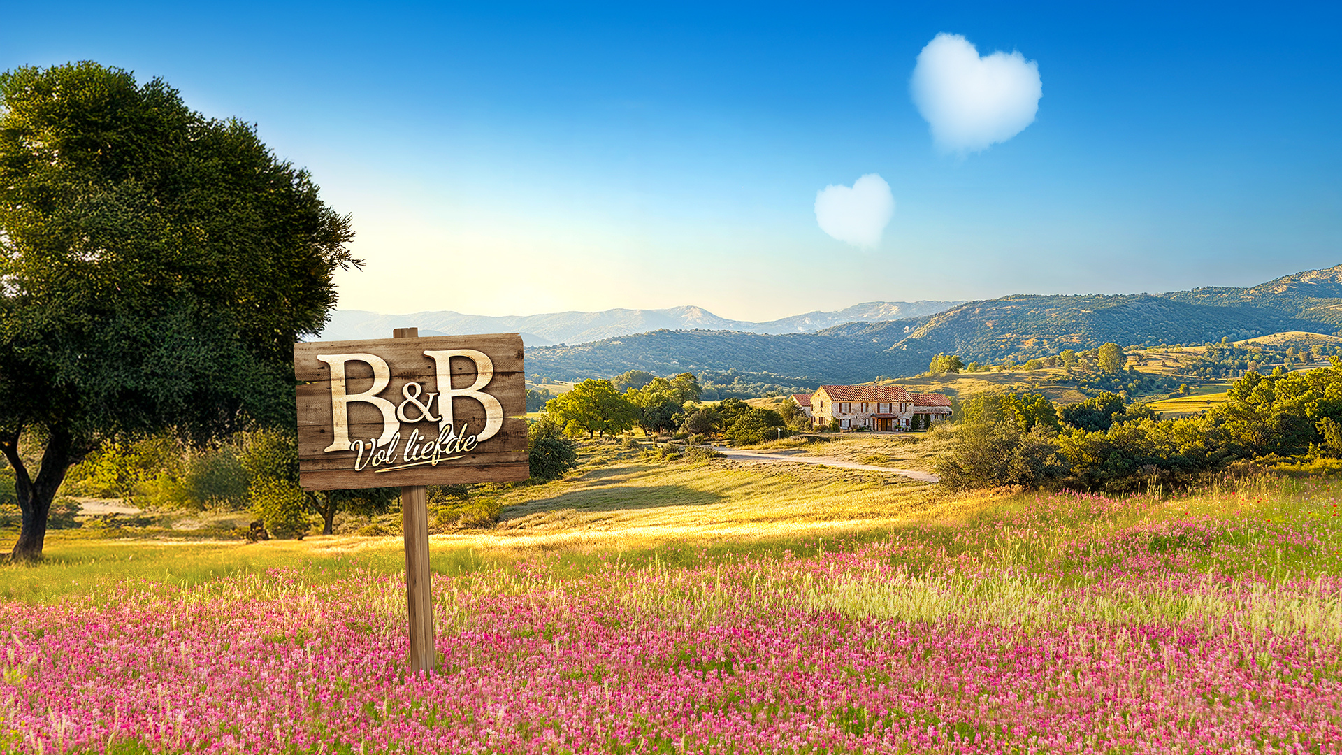 Alle deelnemers van B&B Vol Liefde 2026
