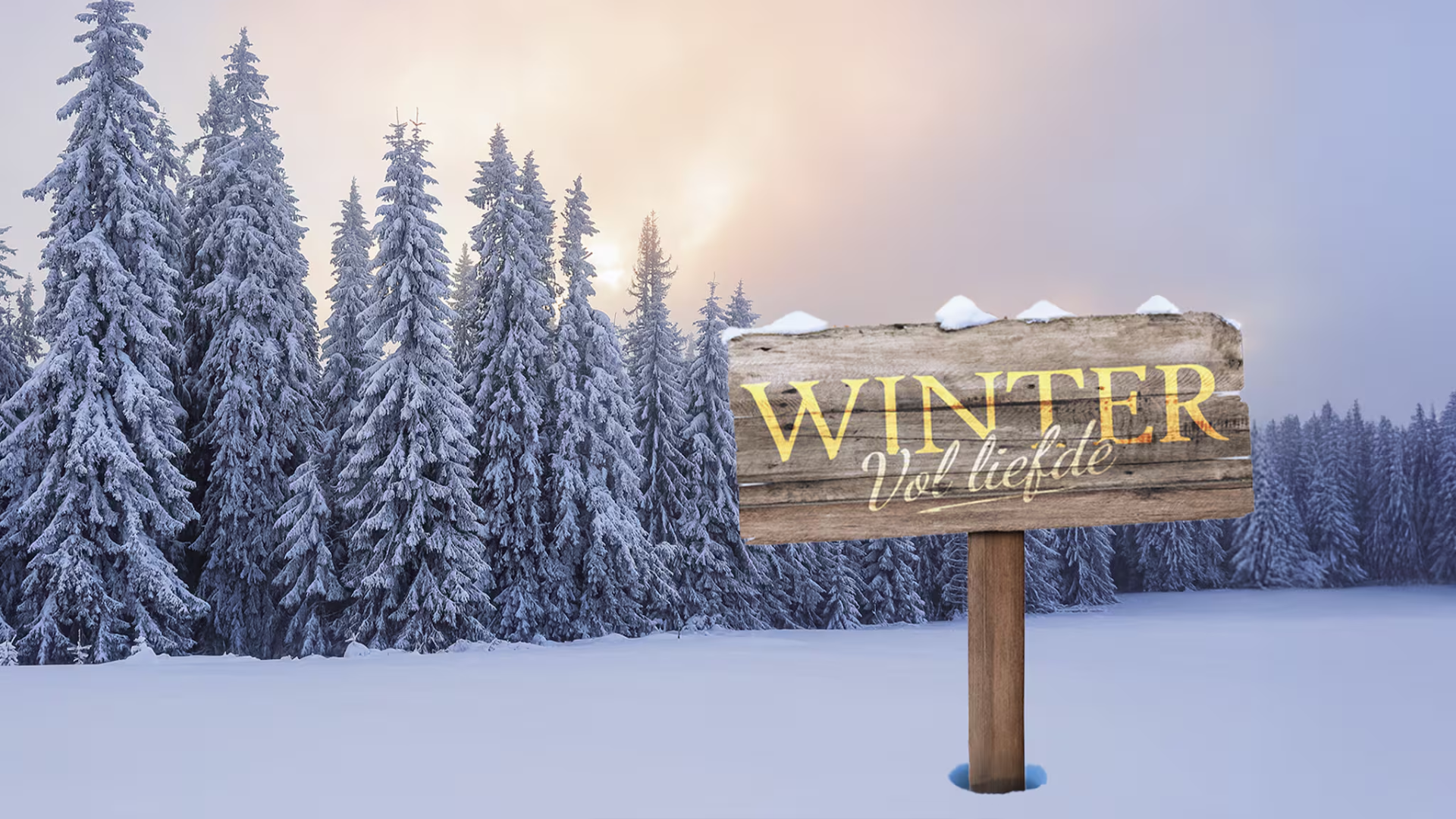 Winter vol liefde nieuw seizoen: startdatum, deelnemers en kijken via CANAL+