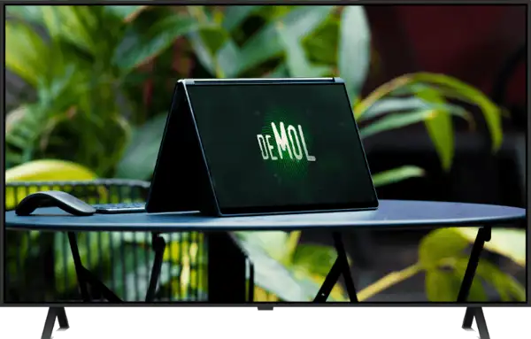 Wie is de mol