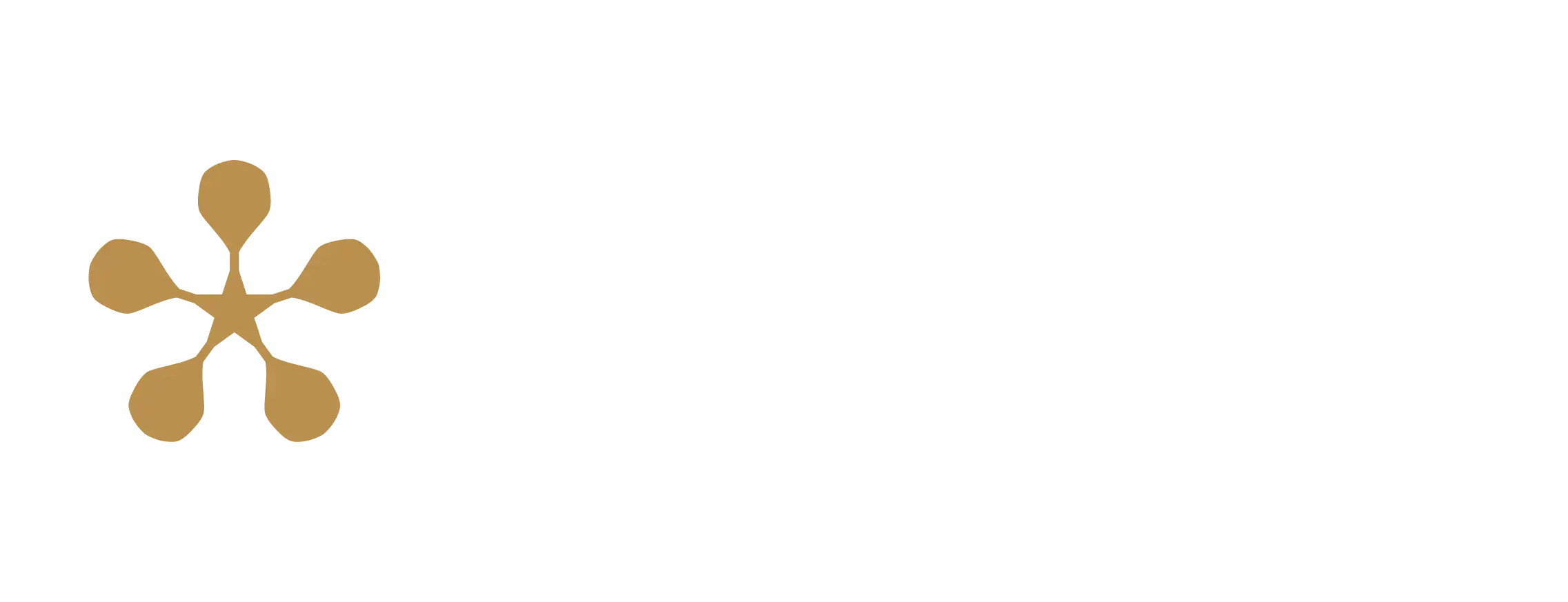 Premier Padel Premier Padel