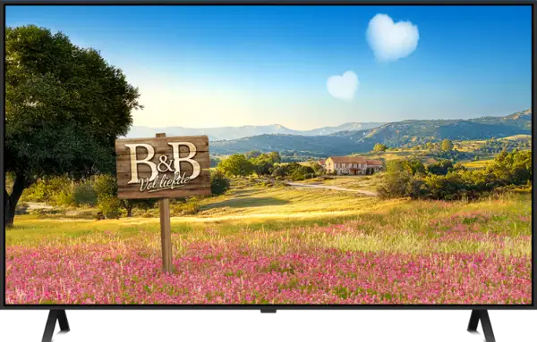 B&B